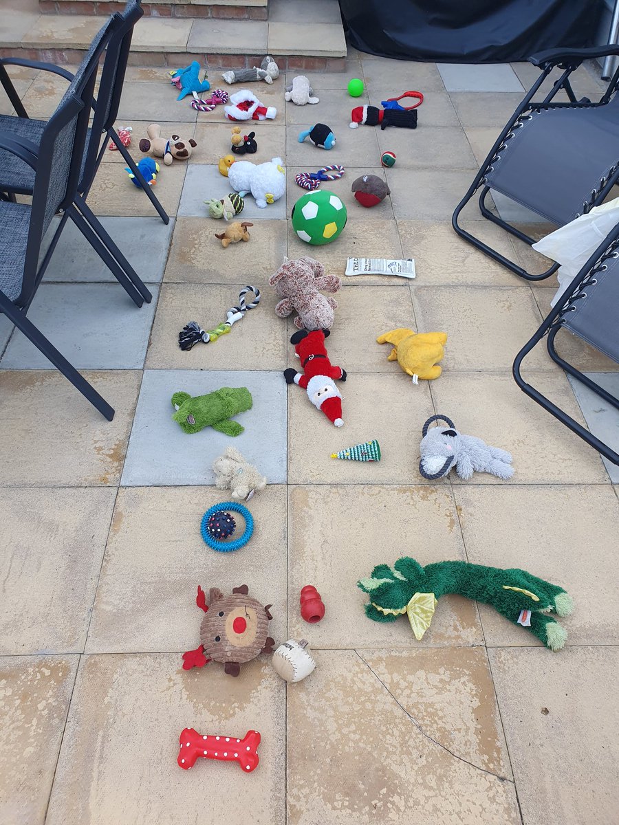 aggigas's tweet photo. ๐ถ๐ถ๐ถ decided it was time to get rid of some of his toys, he wasnt happy but in the end he chose the final 10 which went back in the box ๐๐๐ #doggyproblems #Dog #dogsoftwitter https://t.co/kLPSapg7CX