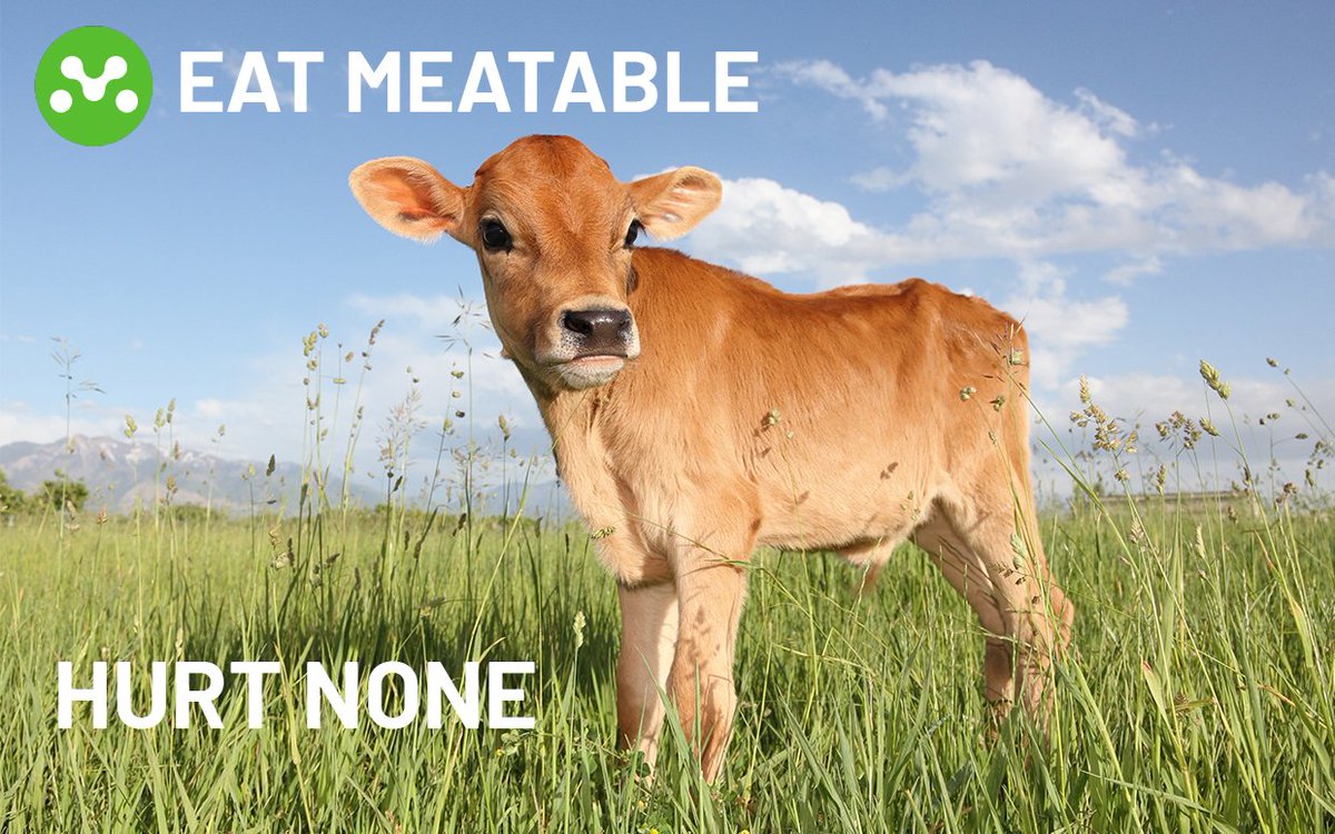 eatmeatable's tweet photo. Don't harm these precious little guys. Eat Meatable. https://t.co/3t54AmLmUR