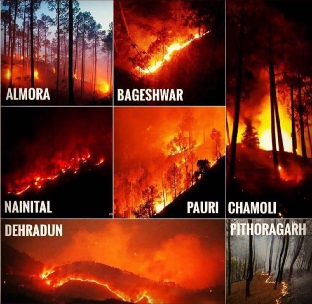 Drkumaranand's tweet image. #PrayForUttarakhand has been burning for days still no one is paying attention. We were there for #Amazonforestfire , #AustralianFires . Now we need support for Uttarakhand🙏
#UttarakhandForestFire #SaveTheHimalayas 
@uttrakhand