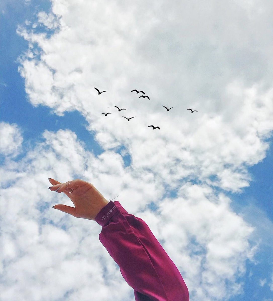 أجمل مافي التقدم بالعمر أنه كلما كبرت سنة يجعلك تستصغر أموراً كثيرة كانت تستهلك طاقتك ومشاعرك يوماً ما، النضوج سمة تجعلك تعيد ترتيب الأشياء والأشخاص