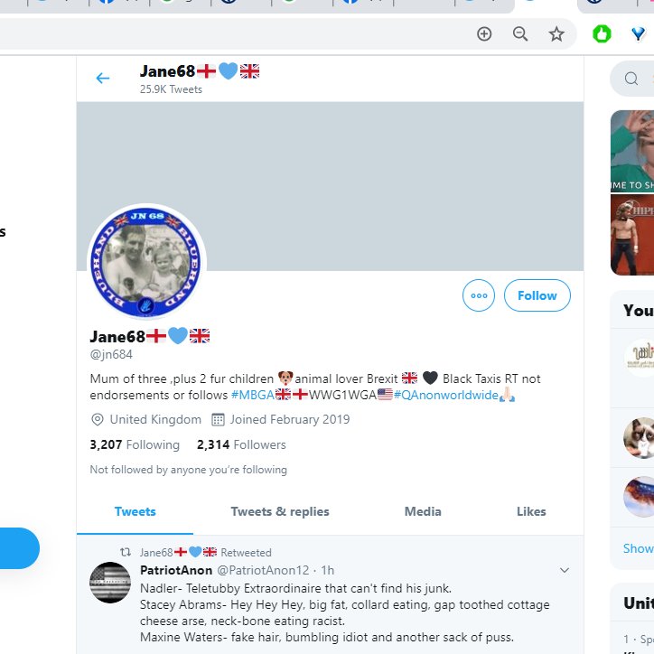 6/ There's a strange cluster of accounts - bottom right, in blue, who seem to be being replied to en masse and retweeted. Couple of Qanon and WWGW1A accounts in there (pro -Trump, far right/conspiracy accounts) - e.g  @jn684  @Eileen49 Same generic type bios...