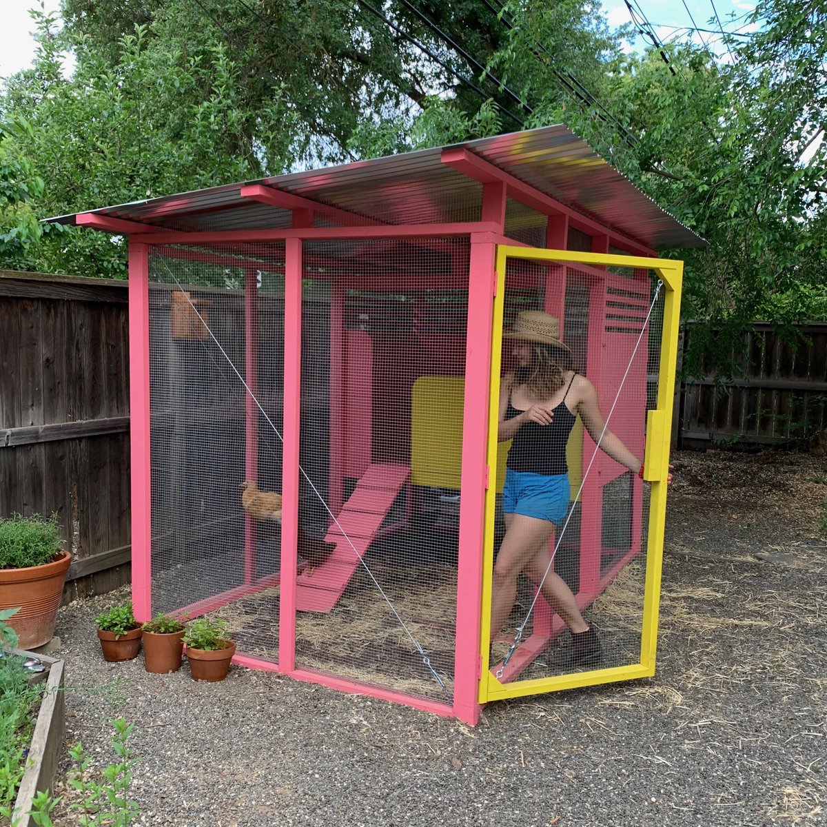 katethecurious's tweet photo. "Casa Gallina" complete! Inspired by #luisbarragan, designed and built with architect @SandyCurth.
.
.
.
#coopgoals #customcoops #chickencoop #bufforpington #backyardchickens #nexttoparchitects #casagallina https://t.co/JHu4lKDZ9f
