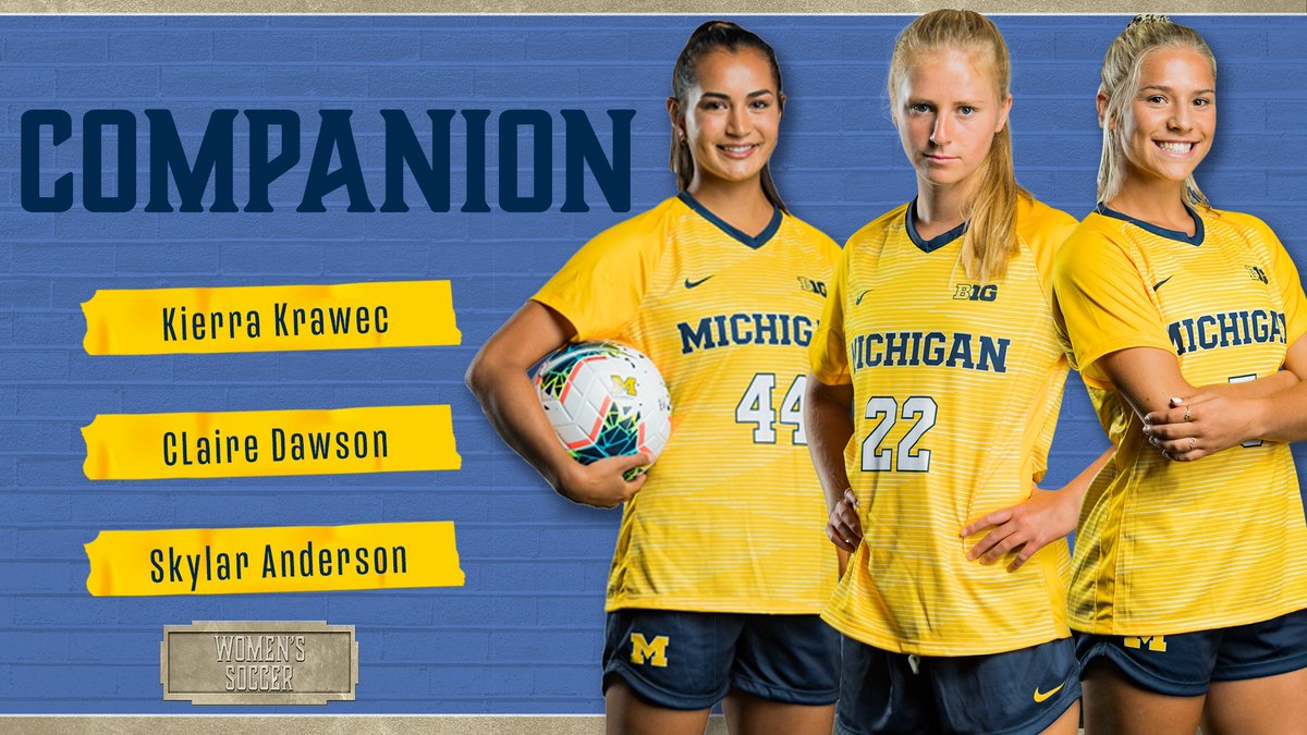 Companion: The heartbeats of our team synergy. Caring, compassionate, and self-less. #GoBlue |  #RaiseIt