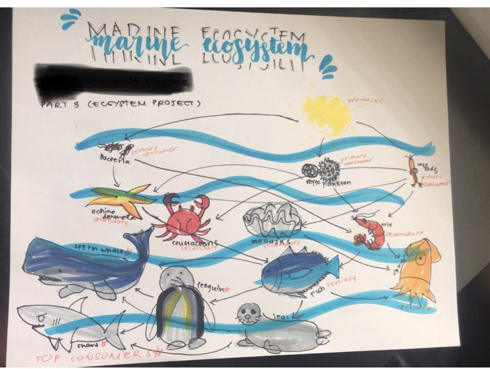MrsBHolden's tweet photo. We may not be in a real classroom, but I have so much pride seeing my students work! These are some of the drawings that students submitted as one of the parts of their final ecology project. π¦π #DFPride #PrideIn5 https://t.co/8HMFzIrAeU