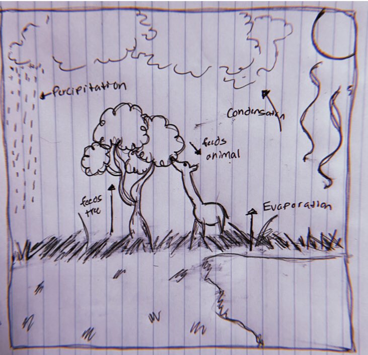 MrsBHolden's tweet photo. We may not be in a real classroom, but I have so much pride seeing my students work! These are some of the drawings that students submitted as one of the parts of their final ecology project. π¦π #DFPride #PrideIn5 https://t.co/8HMFzIrAeU