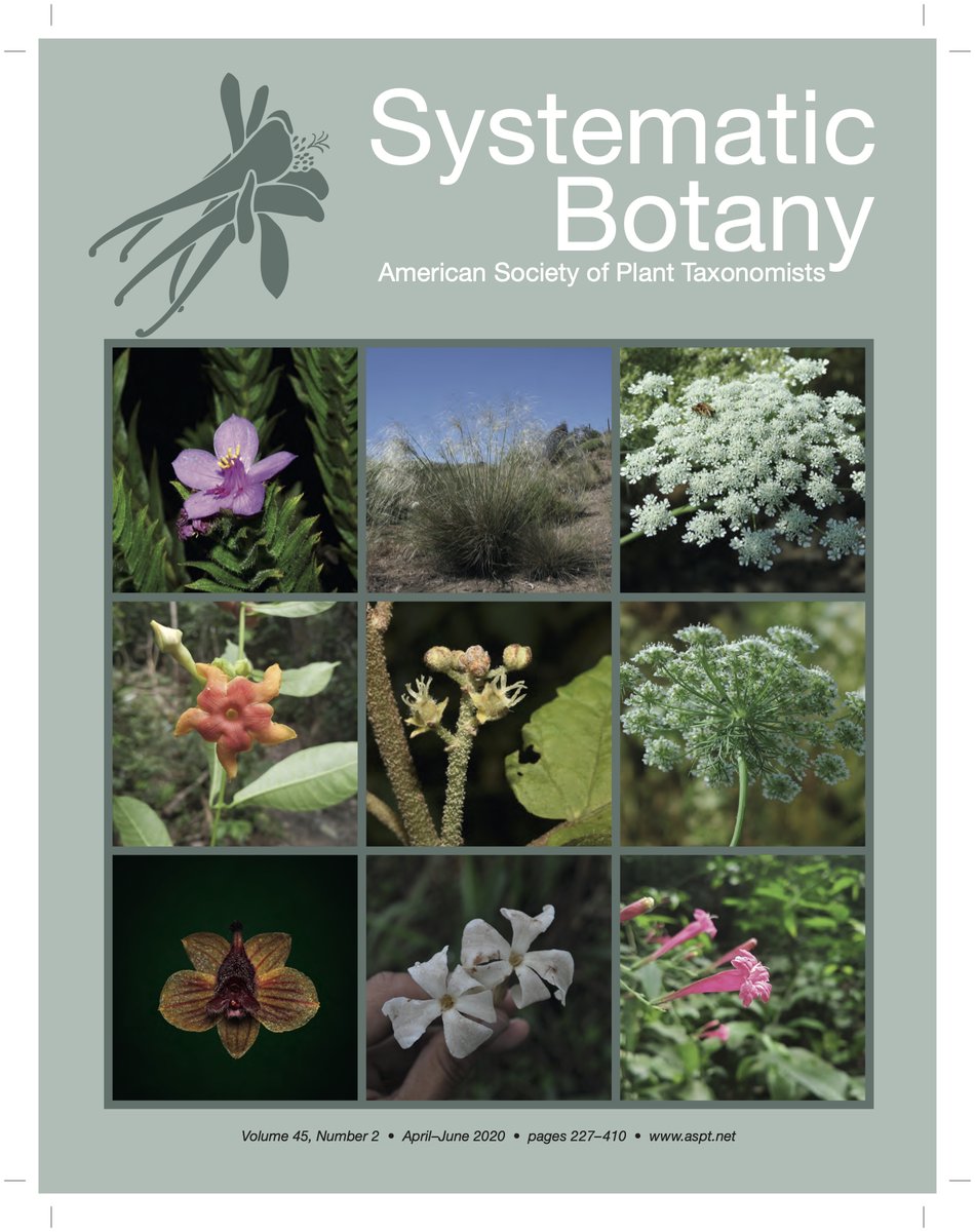 AmSocPlantTaxon's tweet photo. #systbot Vol. 45, No. 2 AprilβJune 2020 is now available online through @BioOneNews.
Check it out: https://t.co/NVKHjFFPyh
#botany #systematics #taxonomy #biodiversity #conservation https://t.co/m7mvLdWNau