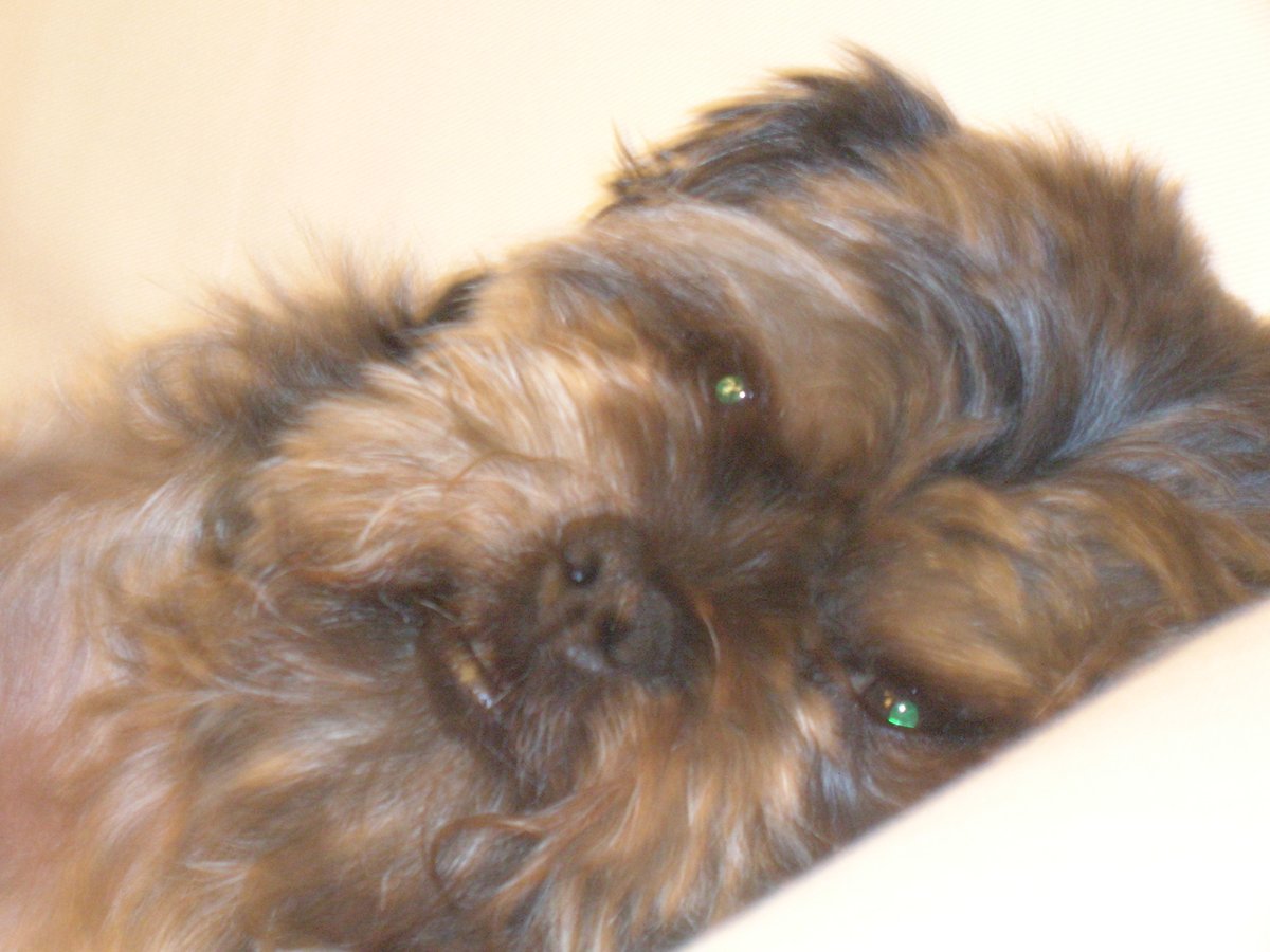 burr_marshall's tweet photo. Eddie
(miss you)
God bless you buddy, tell Granny hi
R.I.P.  05/19/2020 https://t.co/BLnrc82bNL