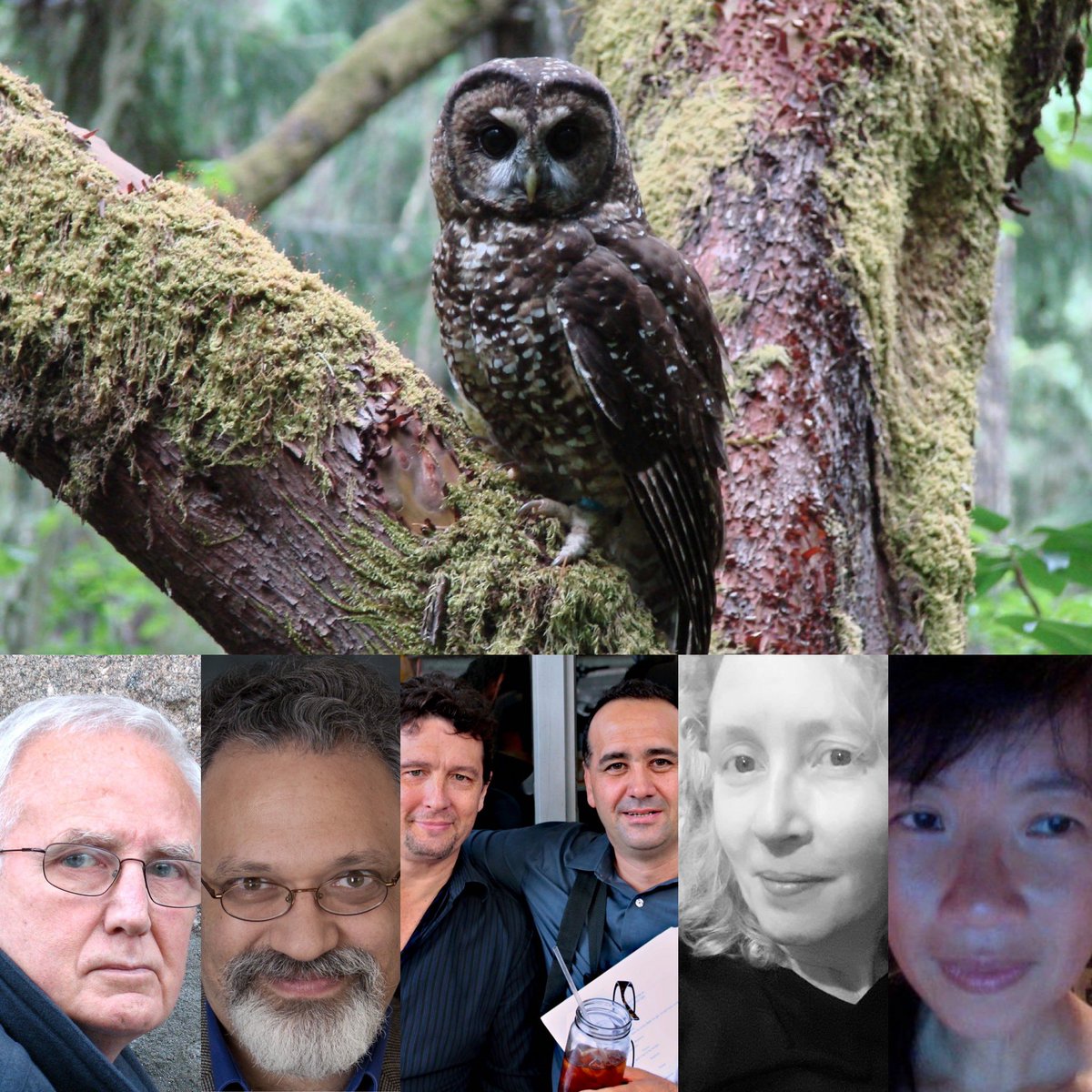 rbwood's tweet photo. Episode 96 of the #wordcountpodcast is called ”Who Goes There?” and has 5 new stories for your free listening pleasure! Host: @rbwood Guests: @carver22 @wbjwilliams John McCaffrey Jack Gwaltney @MariaHaskins @edenbaylee https://t.co/b5BMqh52e0 https://t.co/ZroPeNzMgo
