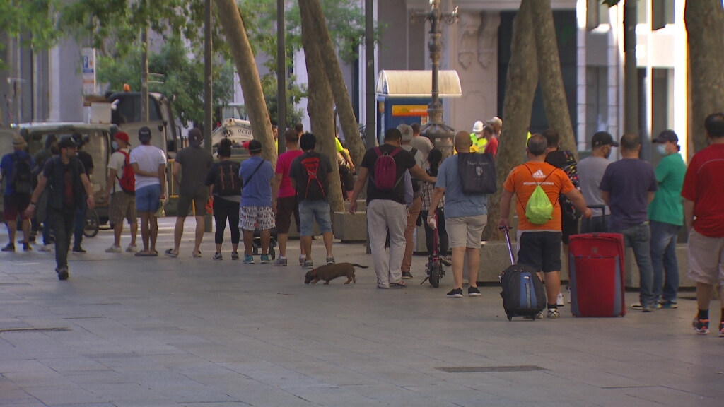 3CatInfo tweet media