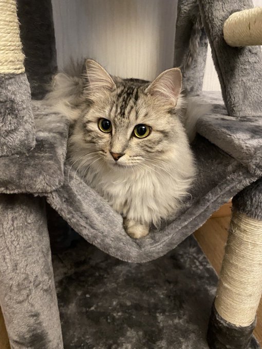 @konomisotechnic 落ち着いてくれるところが見つかりました! 