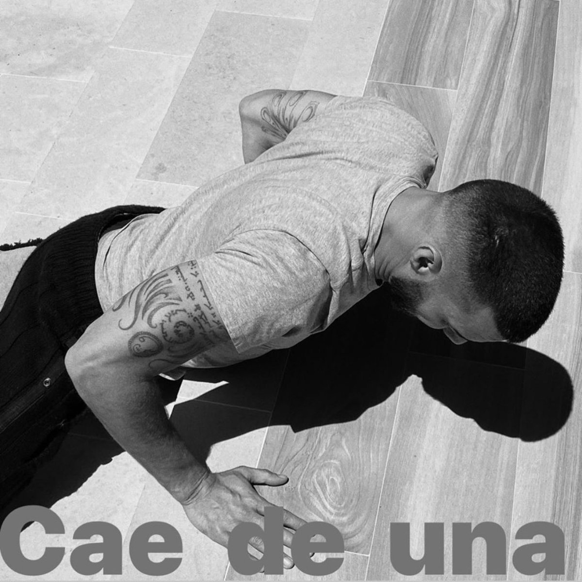 ricky_martin's tweet photo. CAE DE UNA #pausaplay https://t.co/TsQzV7Gyaf