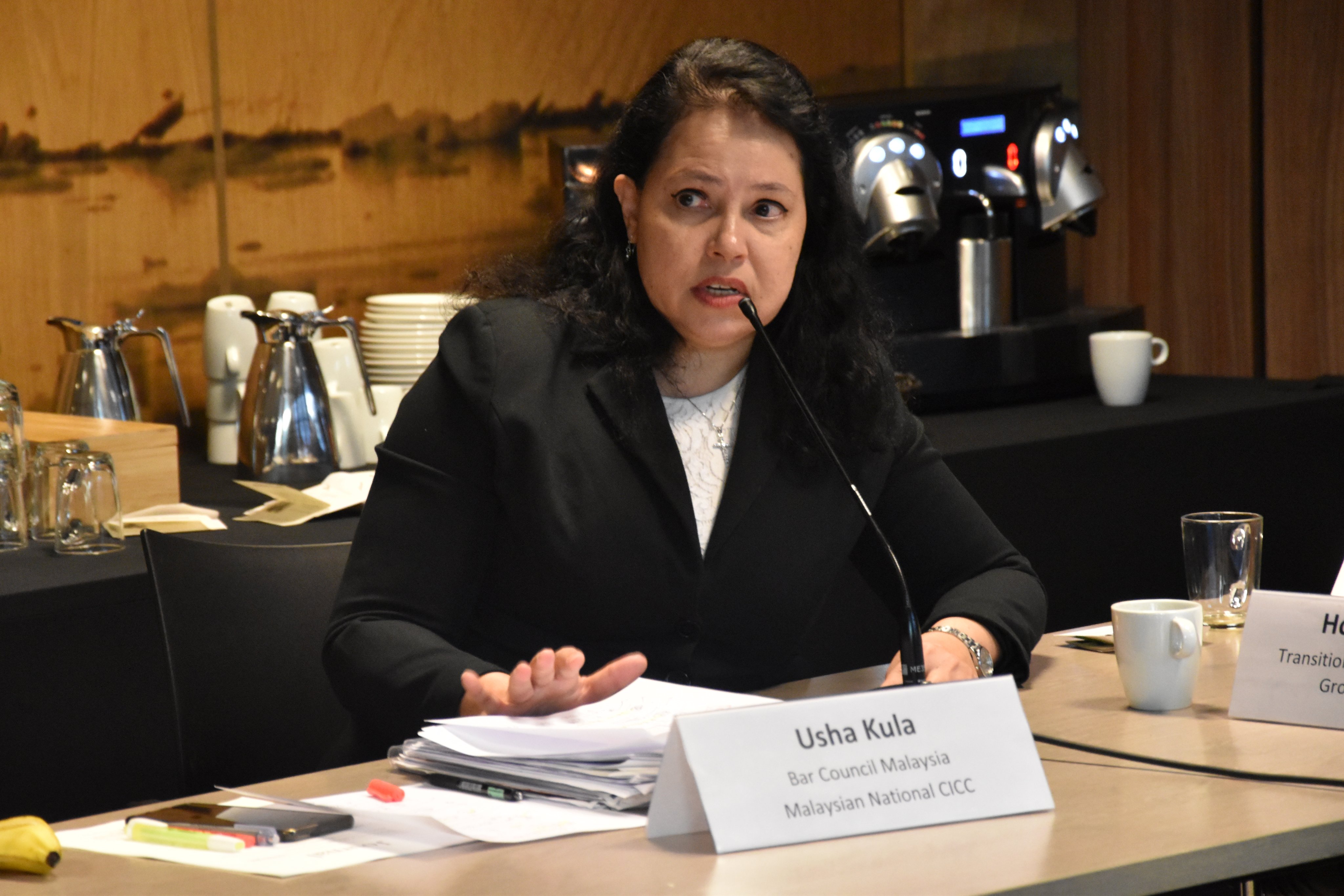 Wfm Igp On Twitter Meet Our Expert Usha Kula Chairperson Coalition For The International Criminal Court Malaysia Amp Member Of Human Rights Committee Bar Council She Will Talk About The Impact Of Humanrights