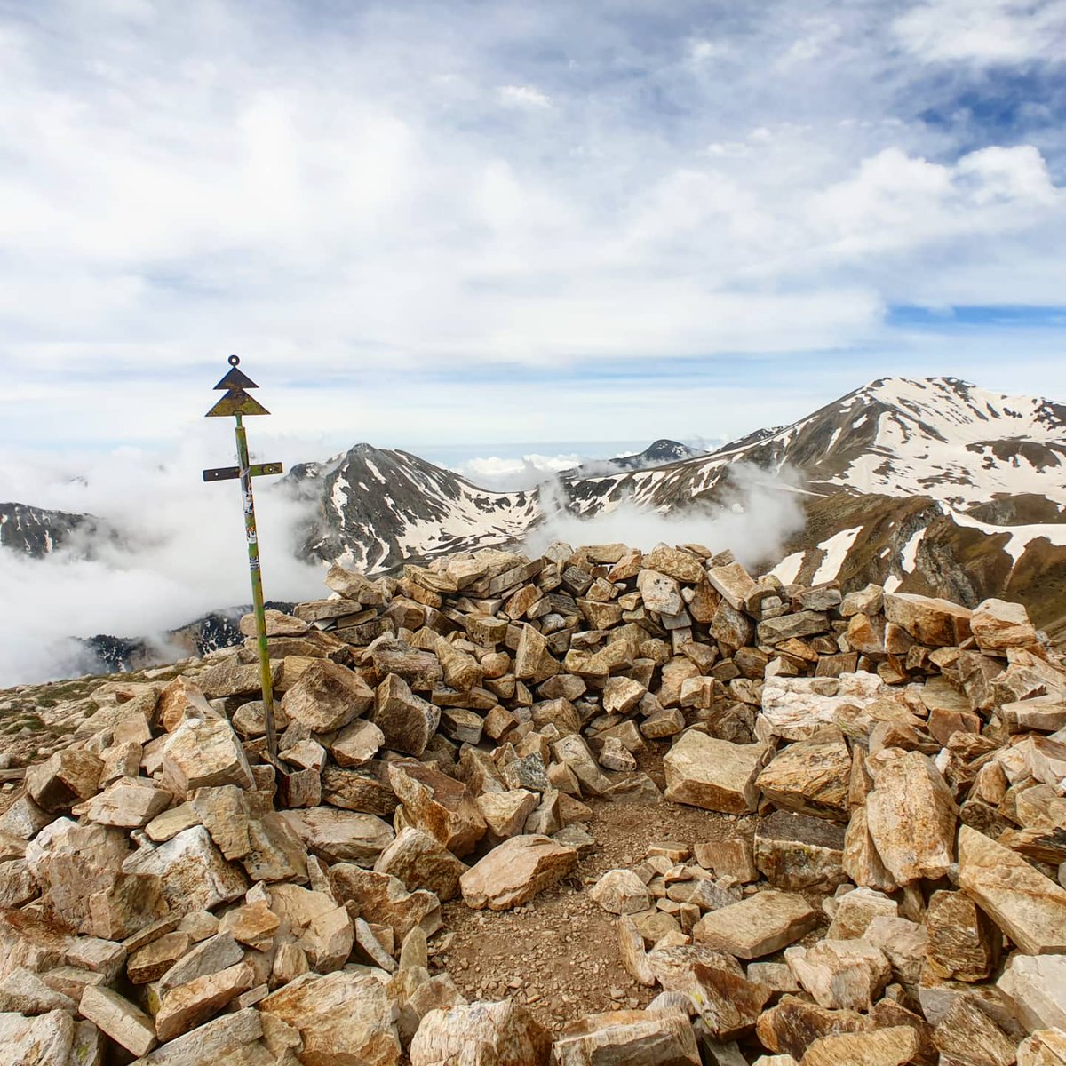 ricardrigall's tweet photo. El Gra de Fajol, el coll de la Marrana, el Torreneules i Bastiments, vistos des del Pic de la Dona (2.702 m). #ulldeter #picdeladona #gradefajol #colldelamarrana #torreneules #bastiments #setcases #ripollès #mentet #conflent #catalunyanord #hiking #primavera2020 https://t.co/hbuzUrt8DK