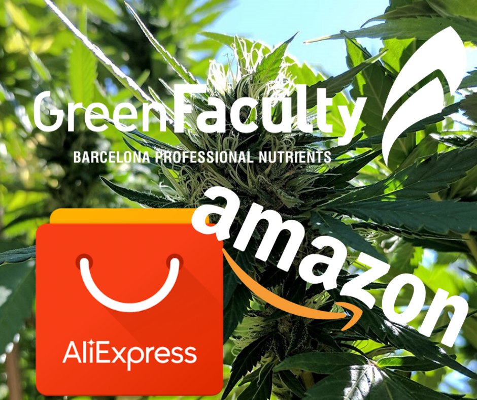 GreenFacultyBCN's tweet photo. ¿Eres de Amazon, Aliexpress o de la web del Fabricante?
Seas como seas a nosotros nos encantas 😍
Por eso ahora te esperamos en:
https://t.co/OdZ2oml5az
https://t.co/XAn0o8GqGi
https://t.co/kGaA77V6Ay
Cada semana descuentos exclusivos, Descubre donde están ahora los mejores!! 🧐 https://t.co/C49TeXsHFX