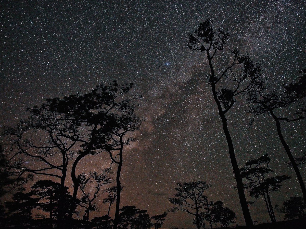 ภูสอยดาว จ.อุตรดิตถ์ สมชื่อสอยดาวจริงๆ
การเดินทาง
-หมอชิตลง อ.ชาติตระการ
-ขนส่งชาติตระการรถเหมานั่งลงตลาดสด (เผื่อซื้อของสดขึ้นดอยด้วย)
-และหารถเหมาเข้าไปประมาณ 2 ชม.ได้
ส่วนระยะทางเดิน ประมาณ 6.5 กม. ไปกลับ 13 กม. (ไม่รวมเดินข้างบน)
IG :
instagram.com/lifebraryjourn…
#ReviewThailand