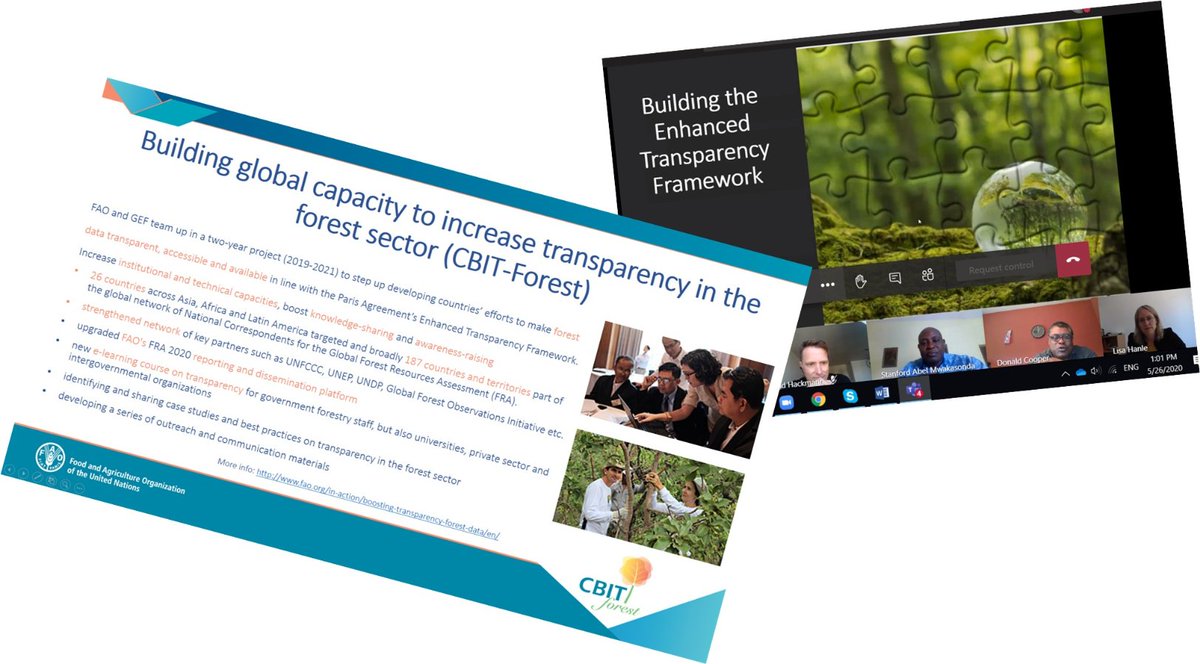 rocio_condor's tweet image. Today first-ever @UNFCCC leading a stakeholder dialogue with global institutions, such as IPCC, UNDP, UNEP among others, working on #enhancedtransparency of the #ParisAgreement. #FAO presenting on its initiatives, including the #CBIT Forest global project bit.ly/2K0d2eo