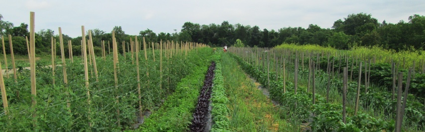 FHCASA's tweet photo. USDA Coronavirus Food Assistance Program (CFAP) Applications Open Today. What Farmers Need to Know - https://t.co/foTkhMpIuY https://t.co/7eAYxe7JBN