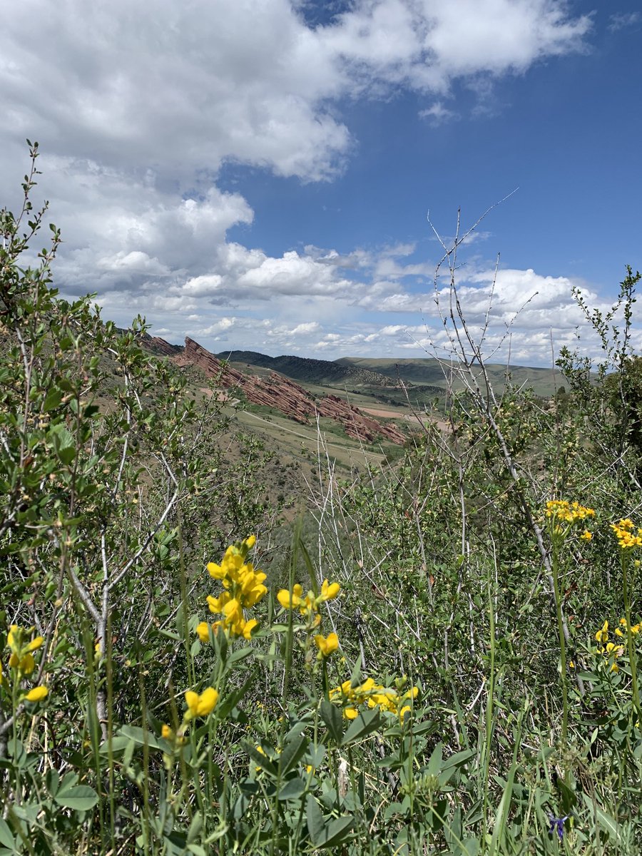 Hiking Red Rocks reminds of “Outlander” worlds away in the highlands of Scotland yet right here our new office break room