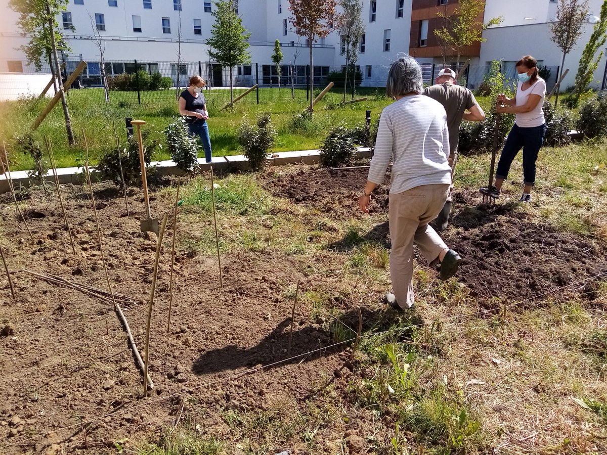 judicael sarouda tweet media