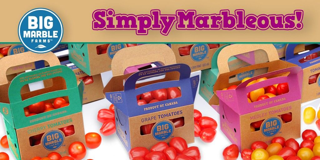BigMarbleFarms's tweet photo. New Product Spotlight–Optimizing our packing line & getting ready to ship full line of Big Marble Farms snacking tomatoes in our super cute & highly sustainable Simply Marbleous pint boxes. Coming soon to an Alberta produce department near you! #Marbleous #2020NPS #BigMarbleFirst https://t.co/sAfr5AjX2m