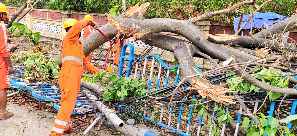 #CycloneAmphan Updates 26/5/20- 𝐃𝐀𝐘6-#PostAmphanRestoration NDRF @ Restoration Work at Mukherjee Road, KMC Kolkata, West Bengal #NDRF4U #Committed2Serve @satyaprad1 @ndmaindia @PMOIndia @HMOIndia @PIBHomeAffairs @BhallaAjay26 @DDNewslive @ANI @airnewsalerts @PTI_News