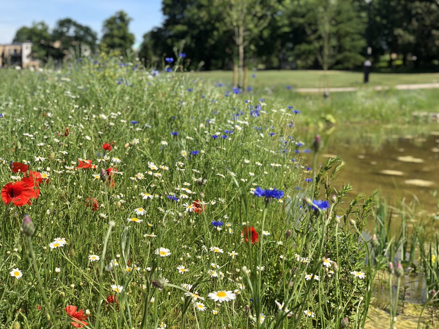 Please don’t leave your litter for others to pick up when you visit the parks in #Enfield . Have a great time, but take your litter home with you so everyone can enjoy our amazing green spaces. #keepEnfieldparkstidy