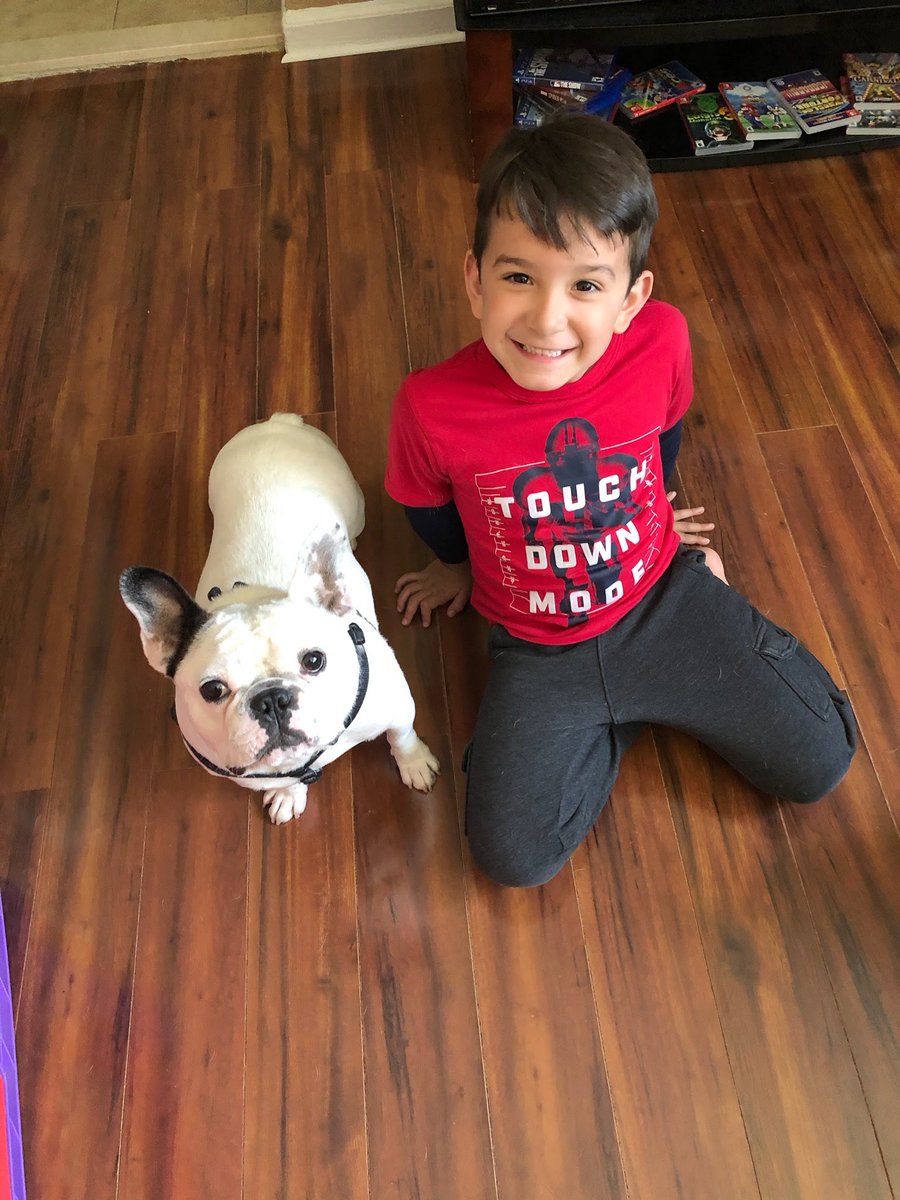 sdicecco's tweet photo. Here’s Thomas and his buddy Cosmo. Cosmo waits patiently for Thomas to finish his schoolwork everyday so they can go outside and play 👦🏻🐶 #RemoteLearningBuddy @PS14Bronx https://t.co/EBPfCkJNMI