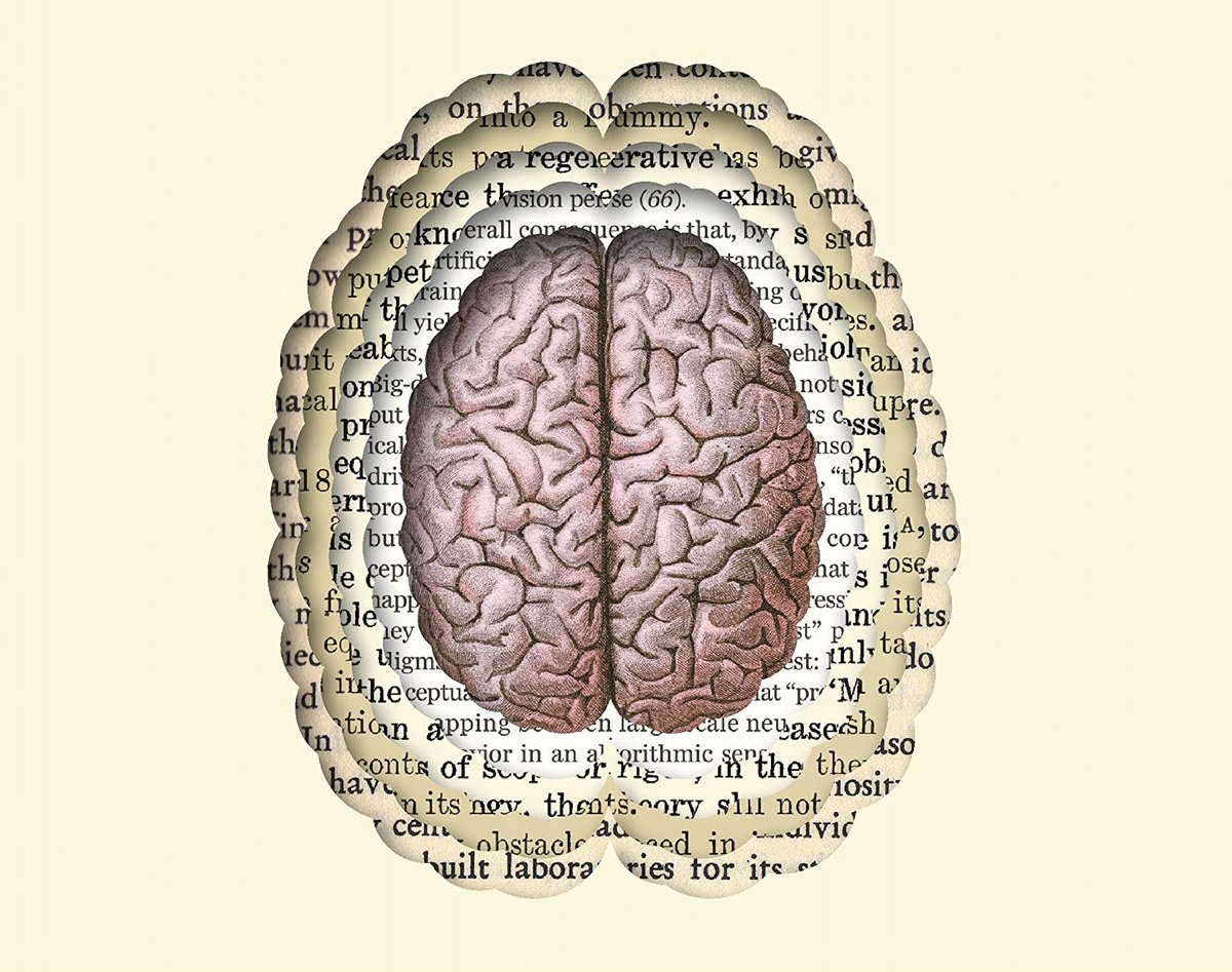 Londonforteansociety Our Friends Conwayhall Are Speaking Brains This Sunday 3 Pm Bst With Matthewcobb Thinking On Sunday The Idea Of The Brain A History See You There Thinkingonsunday Profilebooks