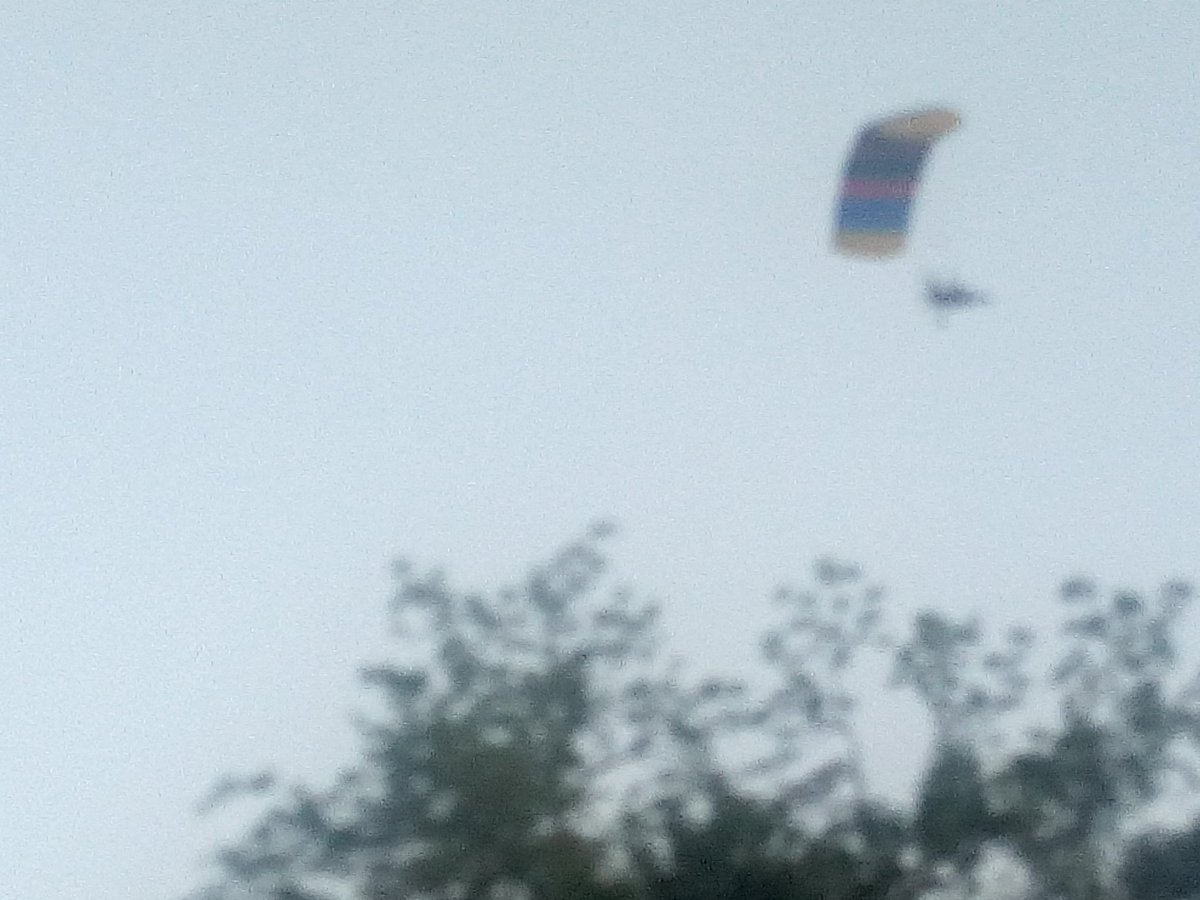 steve ewhe tweet media