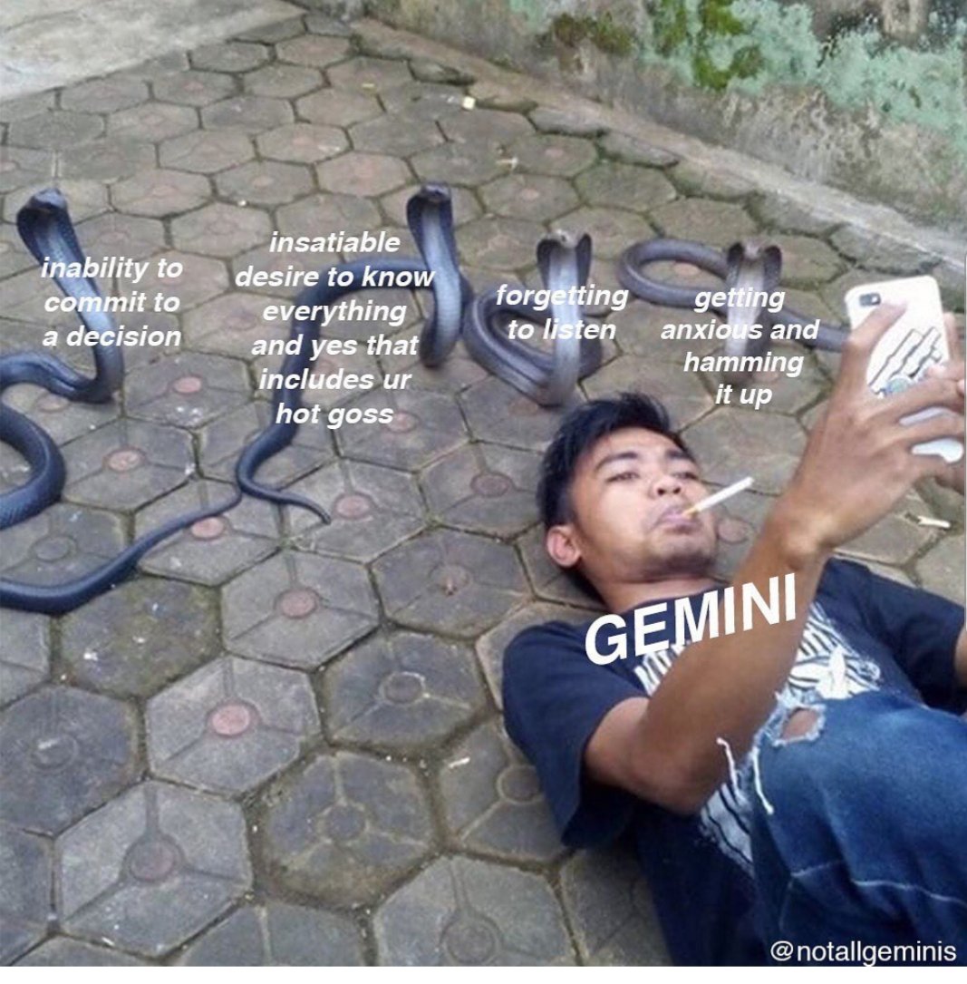  @LoyalRoyalty_T I scavenged and found us some Gemini memes to celebrate this upcoming period of our birthdays..... Yes I might have been doing this instead of paying attention to things I should have been