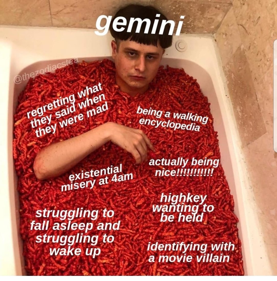  @LoyalRoyalty_T I scavenged and found us some Gemini memes to celebrate this upcoming period of our birthdays..... Yes I might have been doing this instead of paying attention to things I should have been