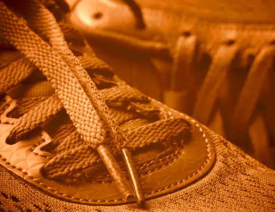 AGLETSThe bits at the ends of shoelaces are called aglets.