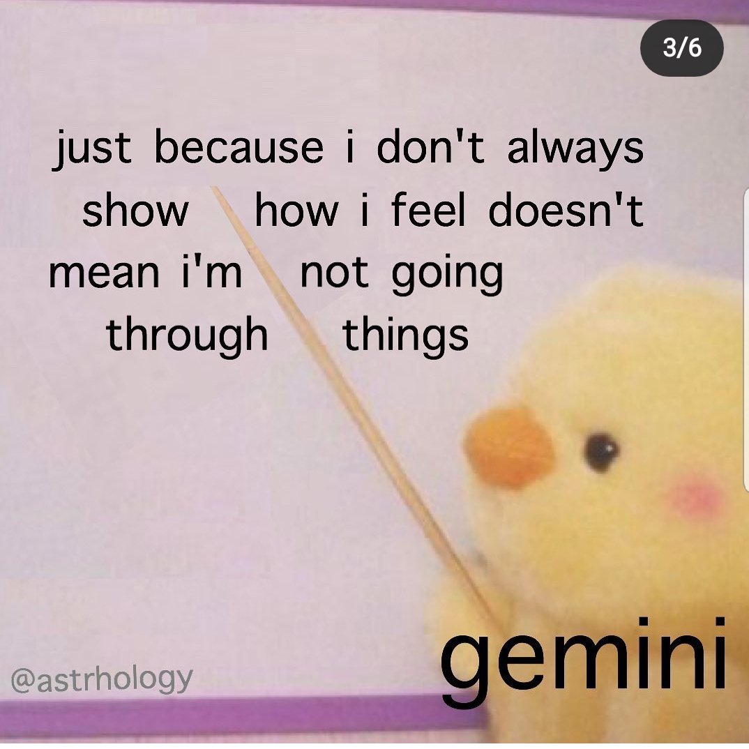  @LoyalRoyalty_T I scavenged and found us some Gemini memes to celebrate this upcoming period of our birthdays..... Yes I might have been doing this instead of paying attention to things I should have been