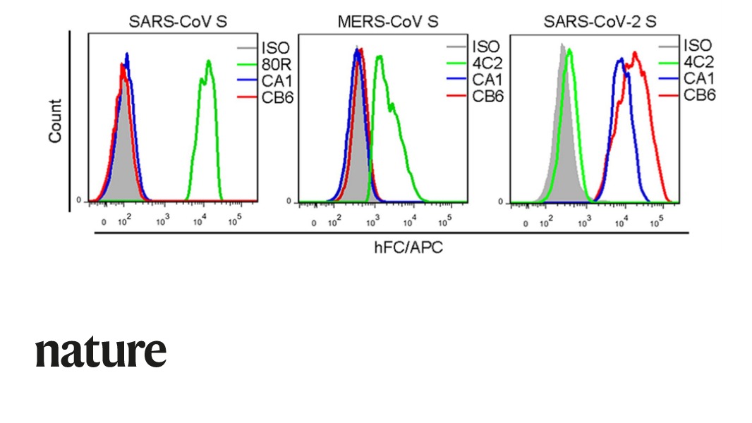A paper in Nature reports the isolation of neutralizing antibodies from SARS-COV-2 infected individuals. The results suggest the antibody CB6 deserves further clinical translation. #COVID19 go.nature.com/2M26g8Z