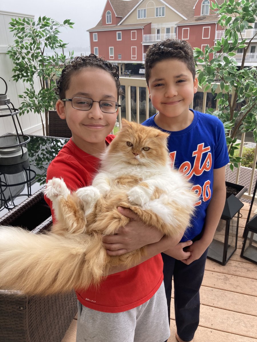 sdicecco's tweet photo. Quinn is a very supportive remote learning buddy and a very good friend to Aidan and Caleb. @ps14bronx #RemoteLearningBuddy https://t.co/PE7vq7FHgo