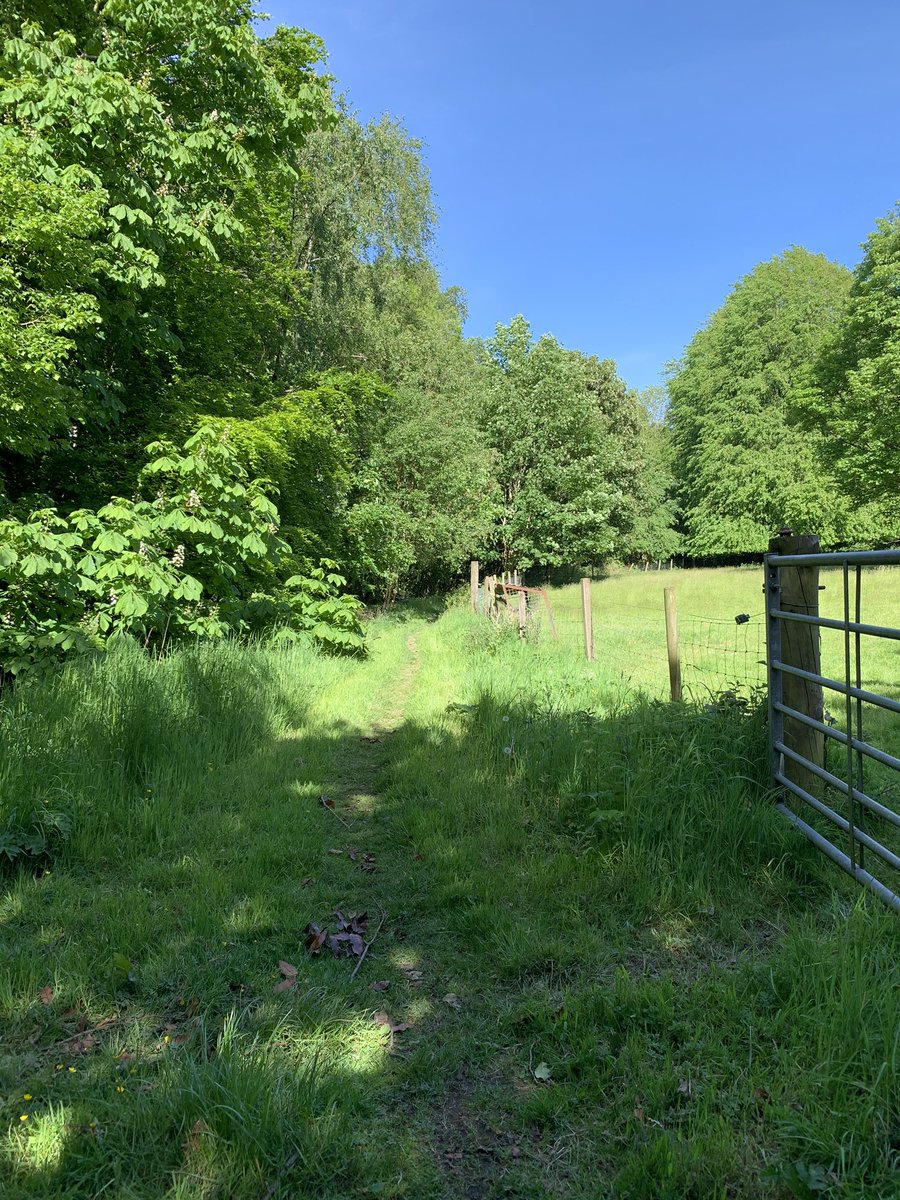 Out for the <a href="/Stirling_High/">Stirling High School</a> virtual 5k with Louise today. Got sidetracked often, walked a lot, stopped the clock often and picked lots of wild garlic for tea 😊 <a href="/GargunnockP/">Gargunnock Primary</a>
