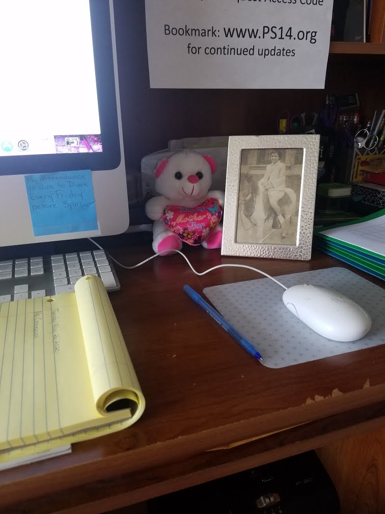 sdicecco's tweet photo. Ms Gigi, one of our amazing school aides, has a very special remote work buddy -- her Mother's Day Bear that sits right next to a treasured picture of her Mom, her best friend. #RemoteLearningBuddy @PS14Bronx https://t.co/Vuk2UtOU6V