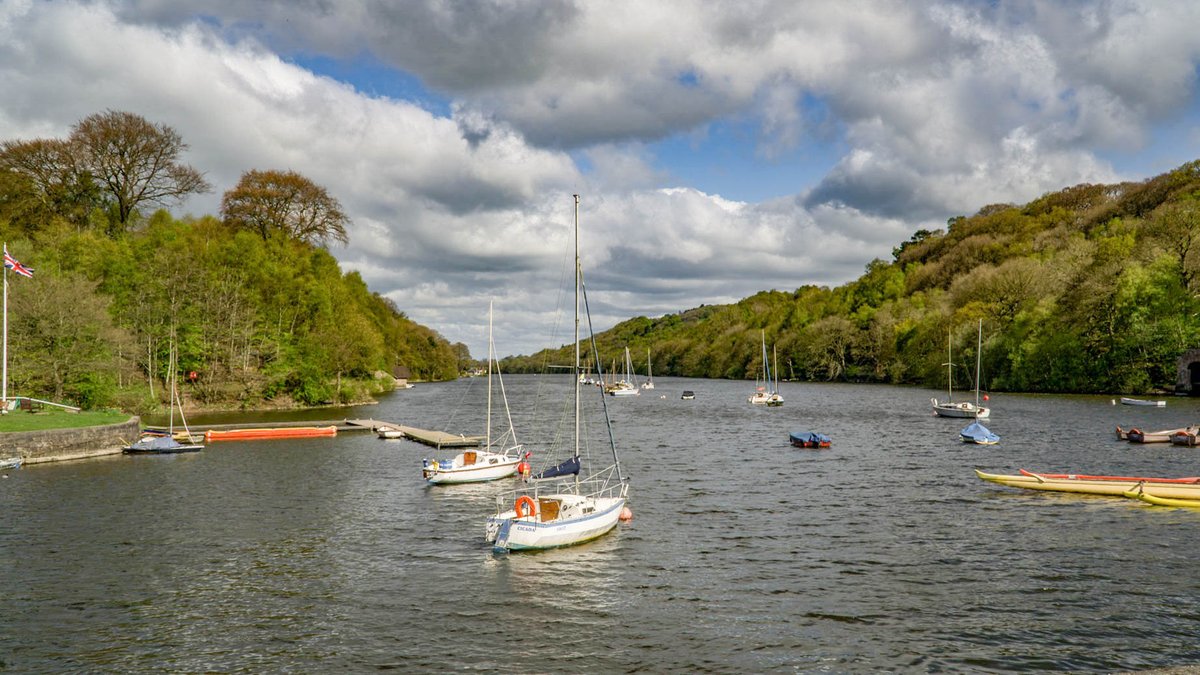 Cliff Salt tweet media