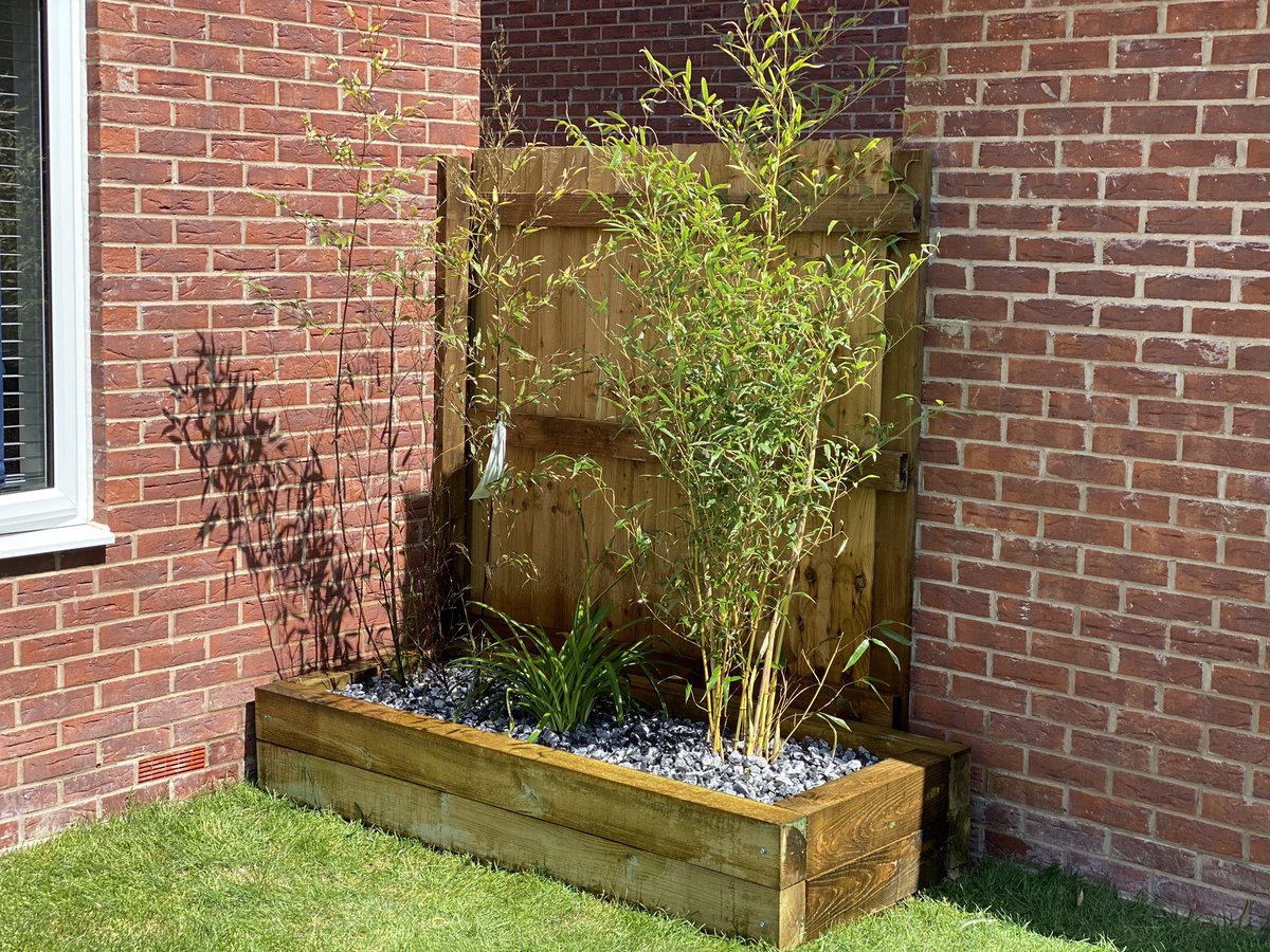 leicesterhead's tweet photo. Been a busy garden day. We did this in a couple of hours. Love having a blank canvas in #ourjuniperhome @TaylorWimpey - raised sleeper bed with bamboos from scratch - no kit! #garden #bamboo #sleeperbed #raisedbed https://t.co/K7aw66M9iC