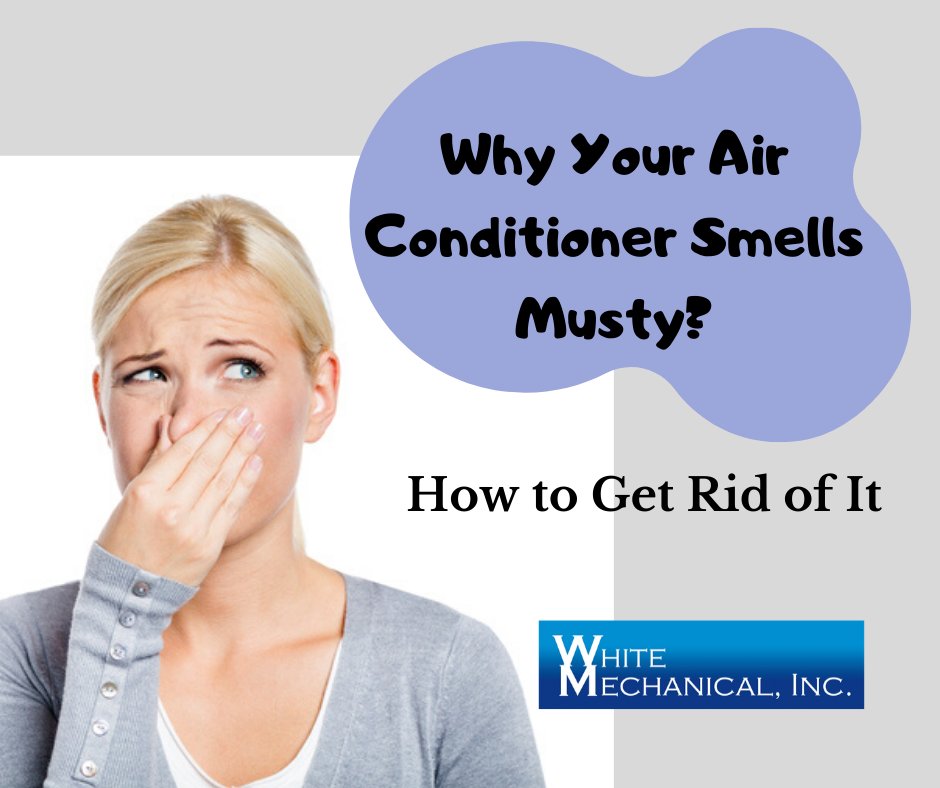 Moisture is the building block for mildew growth which can cause a musty smell from your air conditioners. Here are some common reasons that could be causing a mildew odor to develop in your AC.
whitemechanical.com/blog/air-condi…
#airconditioner #acproblems #airconditioning