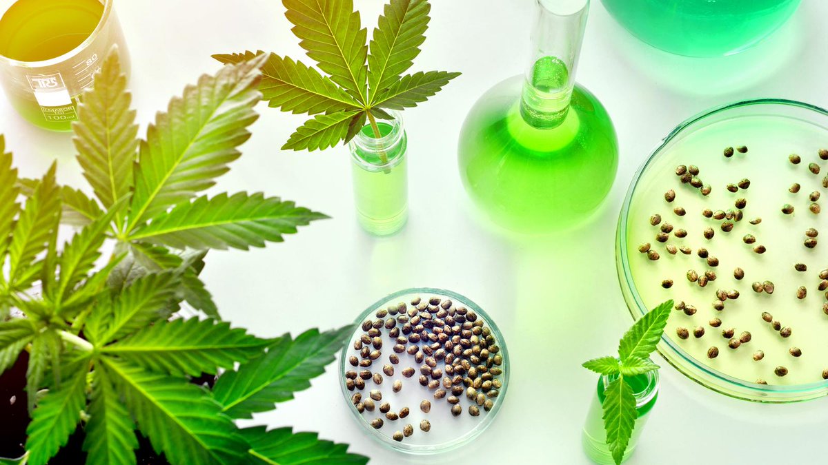 #TuesdayTip: It's important to make your presence known! Be unique with the look &amp; feel of your virtual booth!

#Booth #USCannabisConferenceAndExpo