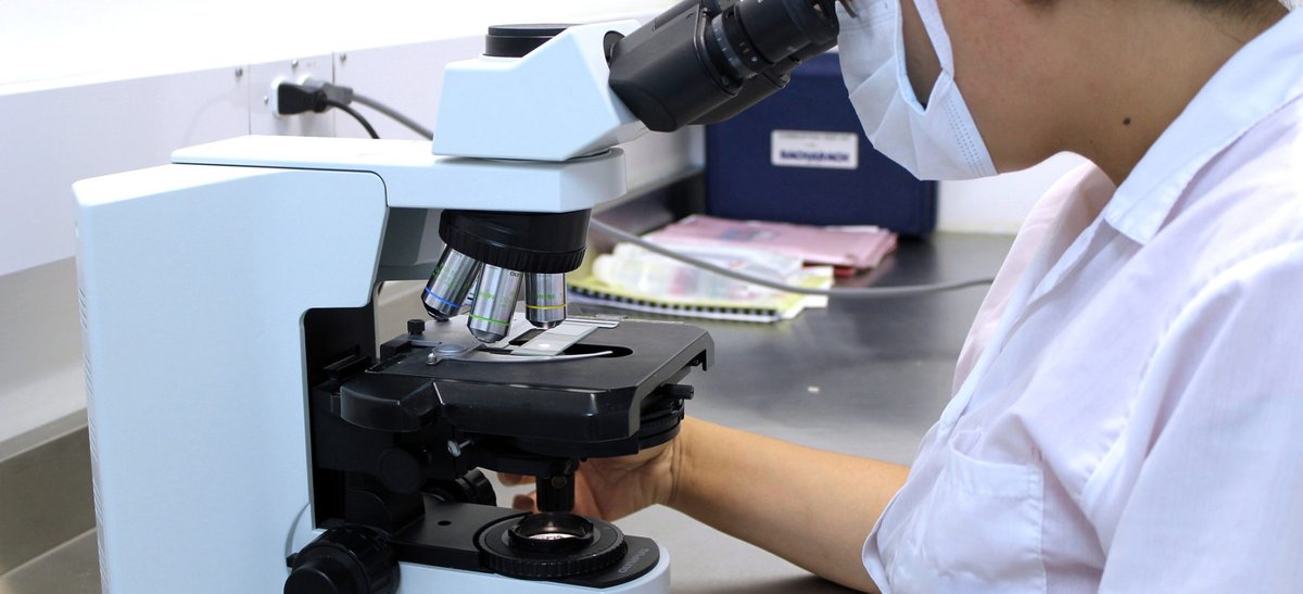 Grazie alla capacità di stimolare la rigenerazione dei tessuti, questo trattamento è stato applicato anche al campo della #PMA #FIVET #ICSI  #OVODONAZIONE

clinichefecondazioneeterologa.it/2020/05/20/pla…