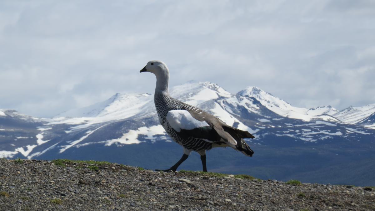 Eagle-Eye Tours tweet media