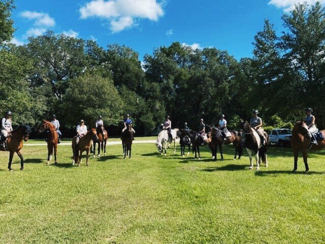 UFequestrian's tweet photo. While our 2019-2020 season didnβt end quite how we thought it would, weβre still thankful to have some sense of normalcy doing our favorite thing right now! See you in fall semester, Gators! #rideihsa #rideida https://t.co/BFS0EZavm4