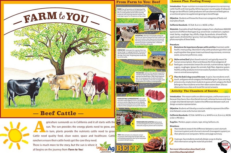 LearnAboutAg's tweet photo. #CATOPTEN: CA’s 4th top commodity is Cattle and Calves! #DYK cattle &amp; calves graze on roughly 38 million acres of pasture &amp; rangelands? #LearnAboutAgatHome to explore the various types of feed cattle consume with our Beef Cattle: Farm to You #agtivity. https://t.co/RNhAEjeCDS https://t.co/4zGkDf3Pug