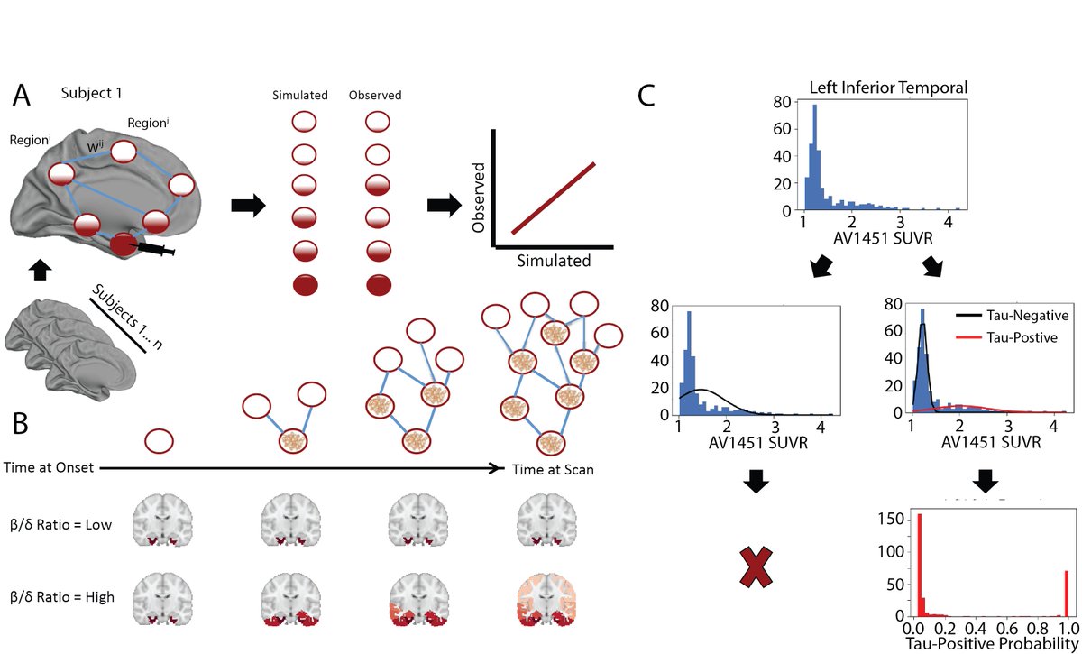 The epidemic spreading model was developed by  @MedinYasser and described here:  https://tinyurl.com/y9mesnhf . We employ this method to model the diffusion and propagation of tau-PET through the cerebral cortex across DWI- and rsfmri-measured brain connections. 3/