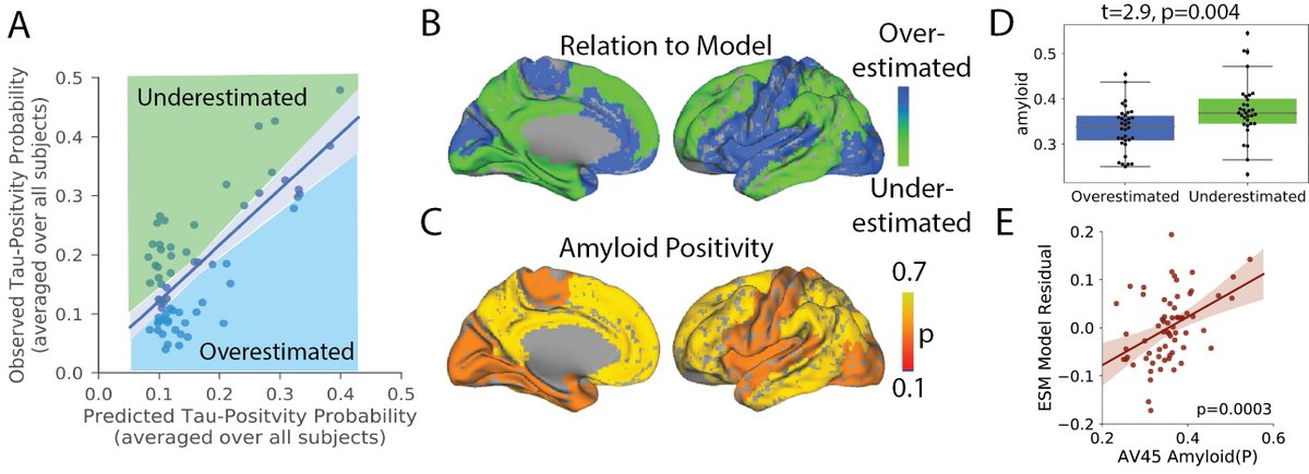 However, Aβ seems to accelerate tau spread. Regions with more Aβ showed more tau-PET signal than would be expected given their anatomical connection to the entorhinal cortex. 6/