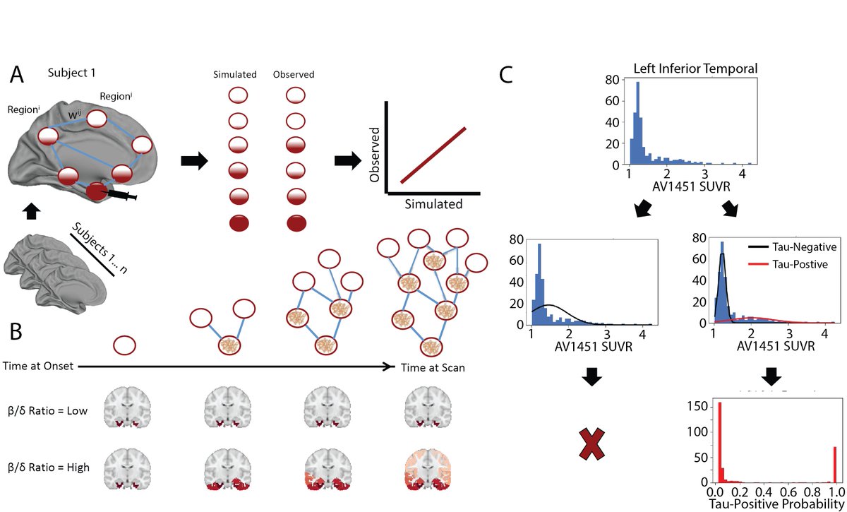 Timely given the current pandemic, we present epidemic spread of tau through the human brain. Instead of a virus traveling between cities using highways, we model tau traveling through brain regions using neuronal connections, in Alzheimer's disease  https://rdcu.be/b4pQd  1/