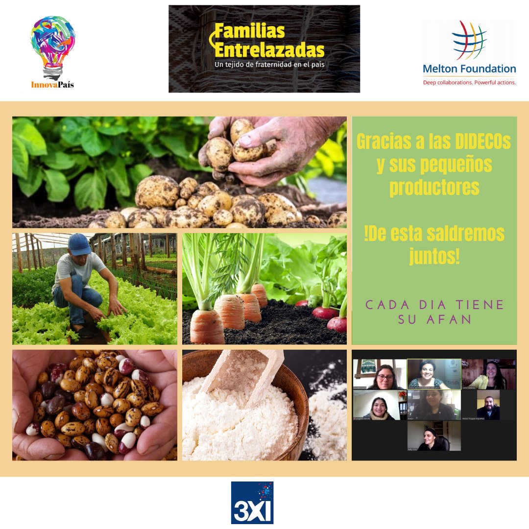 Junto a las DIDECOs, sus trabajadoras comprometidas con su gente y sus pequeños productores que se ponen al servicio... ¡TODOS JUNTOS SALDREMOS DE ESTA!

#Dona: familiasentrelazadas.cl/index.php/vinc…

#familiasentrelazadas