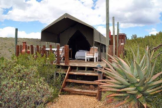 Le Petit Karoo Ranch, Oudtshoorn, Western Cape.